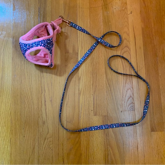 Other - Pink and blue floral print harness and leash